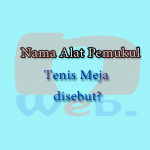 Nama Alat Pemukul Tenis Meja disebut