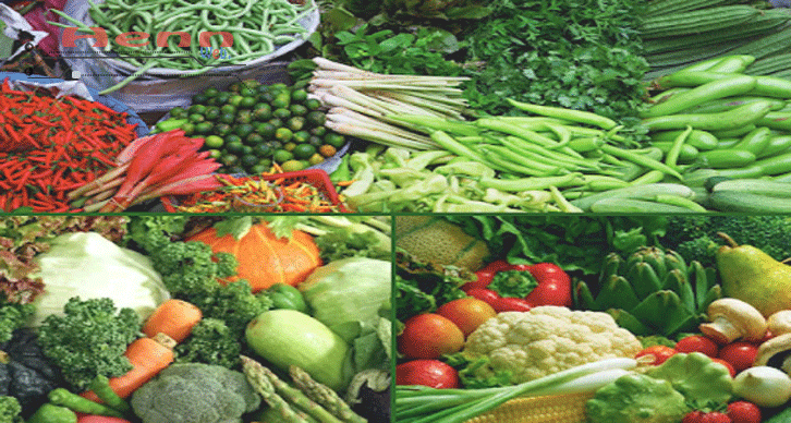 20+ Supplier Sayuran Bandung dari Petani Jawa Barat Daftar Supplier Sayuran Bandung dari Petani Jawa Barat