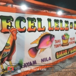 Usaha Pecel Lele